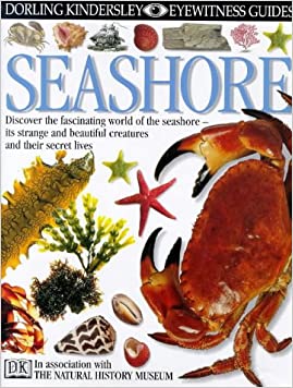 DK Eyewitness Guides: SeashoreHardcover – 8 November 2001