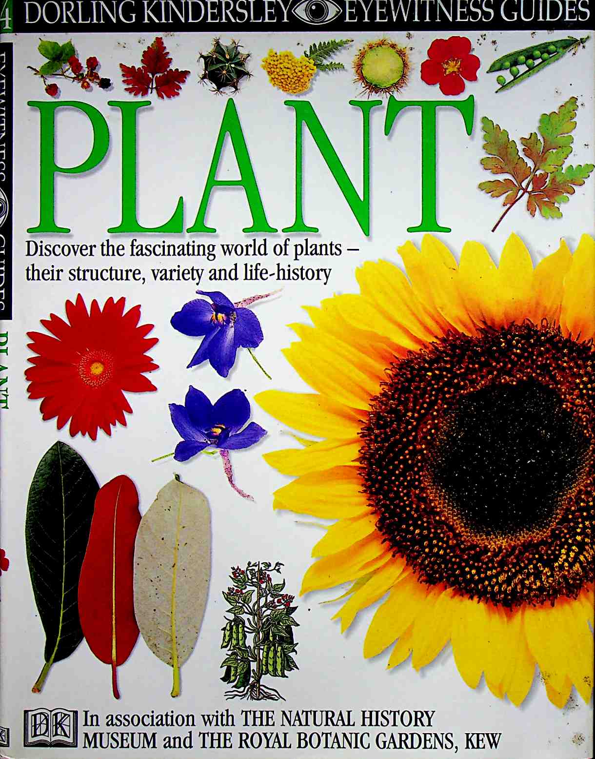Plant