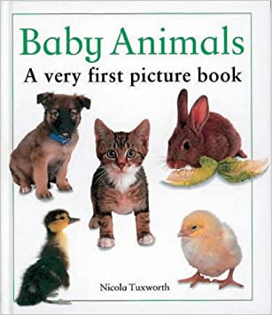 Baby Animals (Very First Picture Book S.)Hardcover – Import, 3 April 1999