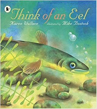 Think of an Eel (Nature Storybooks)Paperback – 7 January 2008