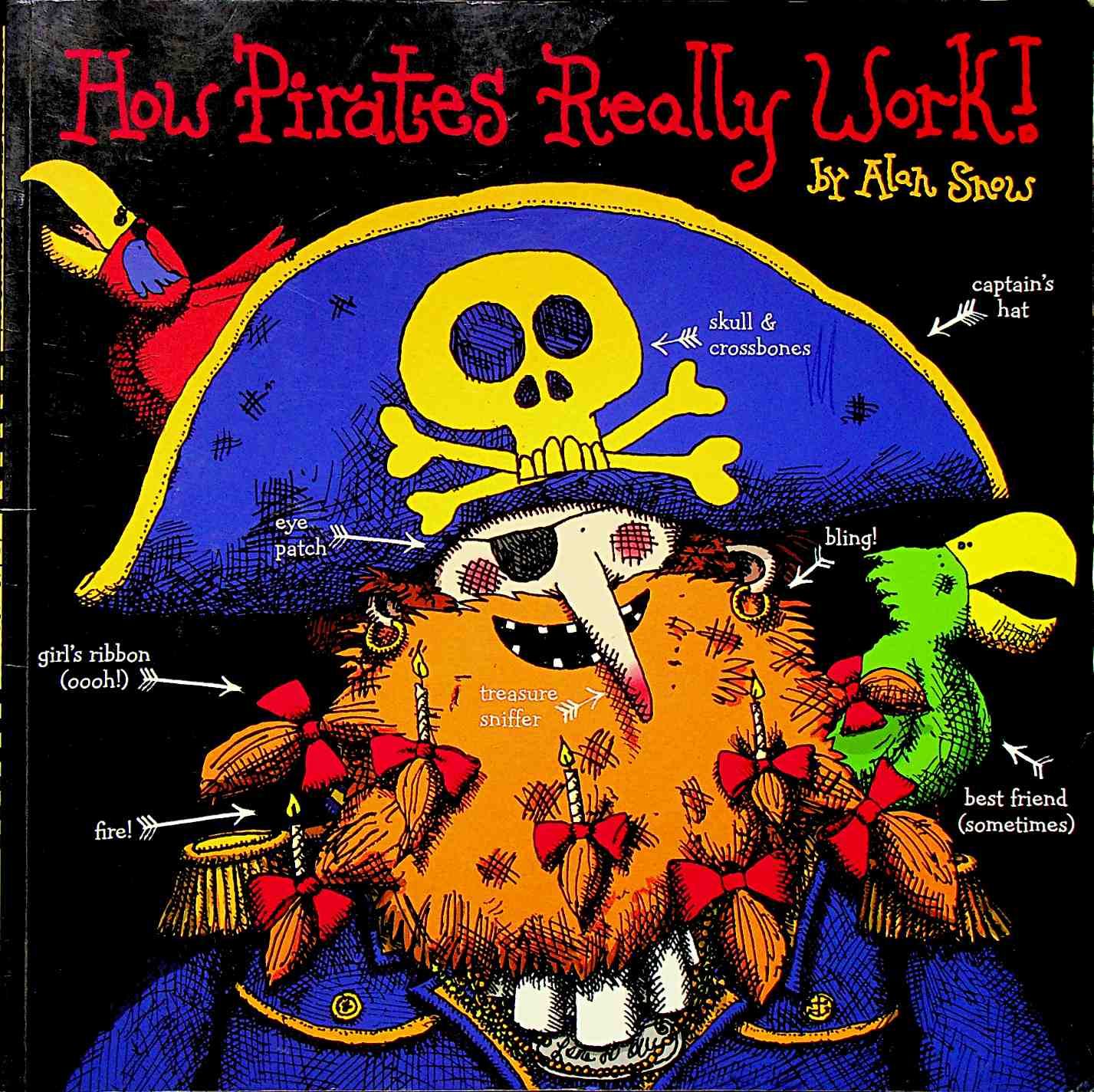 How Pirates Really Work