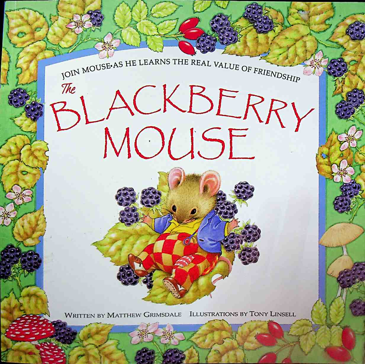 The Blackberry Mouse