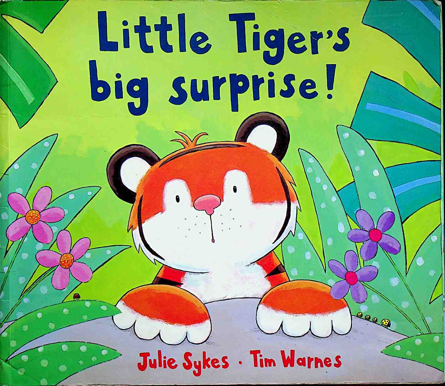 Little Tiger's Big Surprise