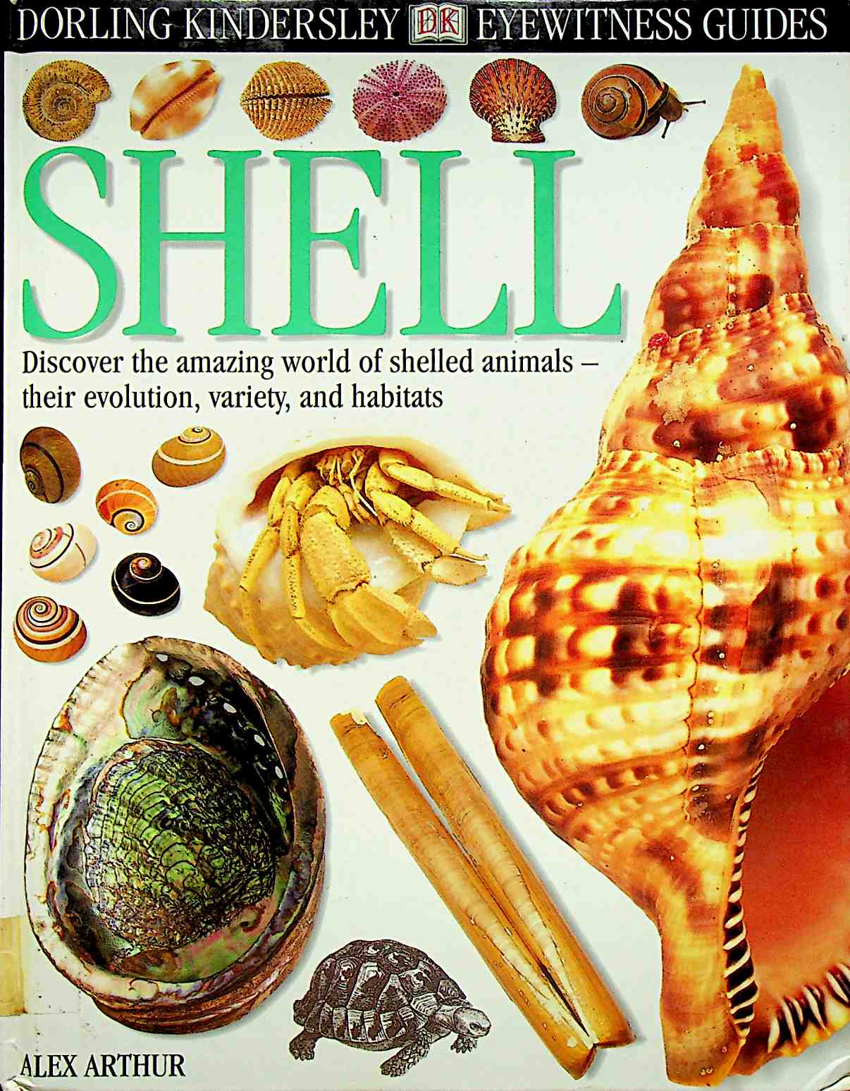 Shell