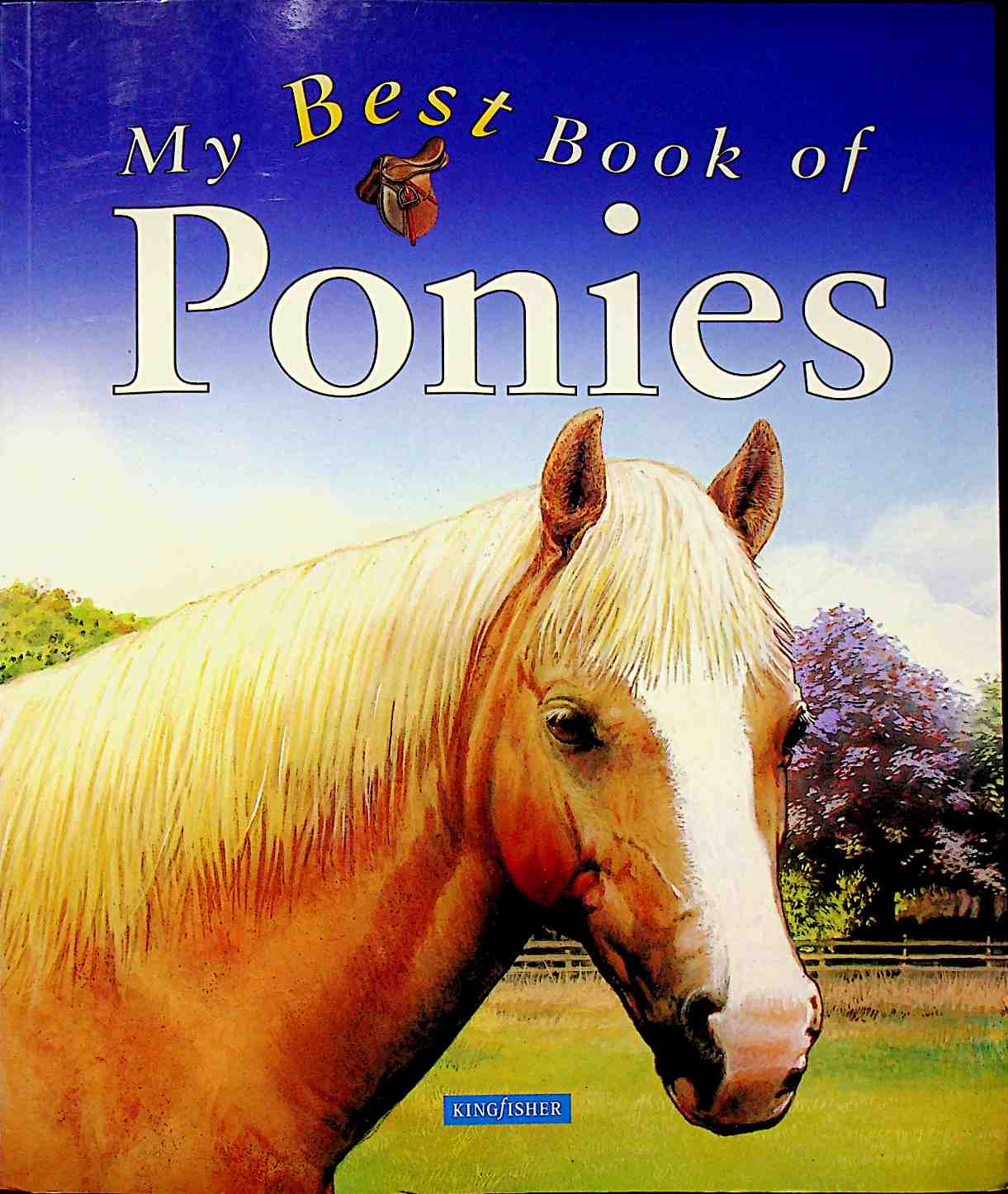 My Best Book of Ponies