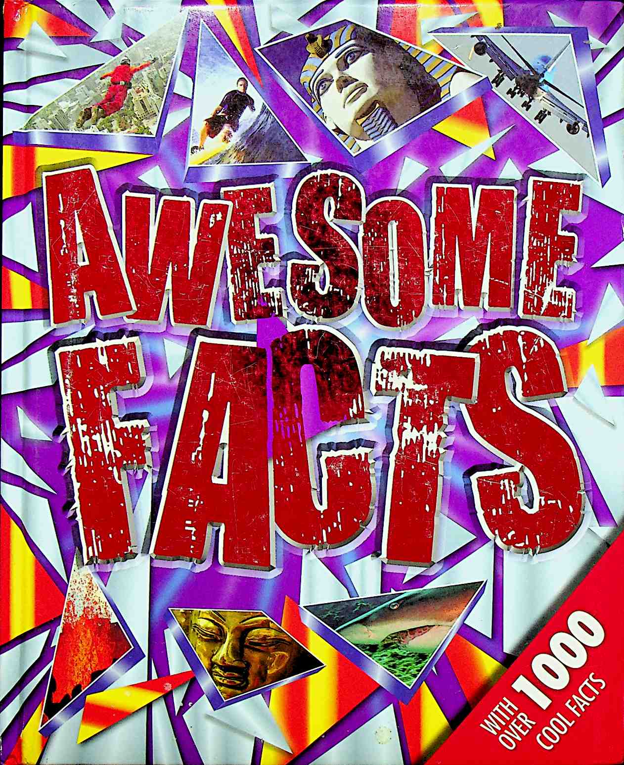 Awesome Facts Factopedia