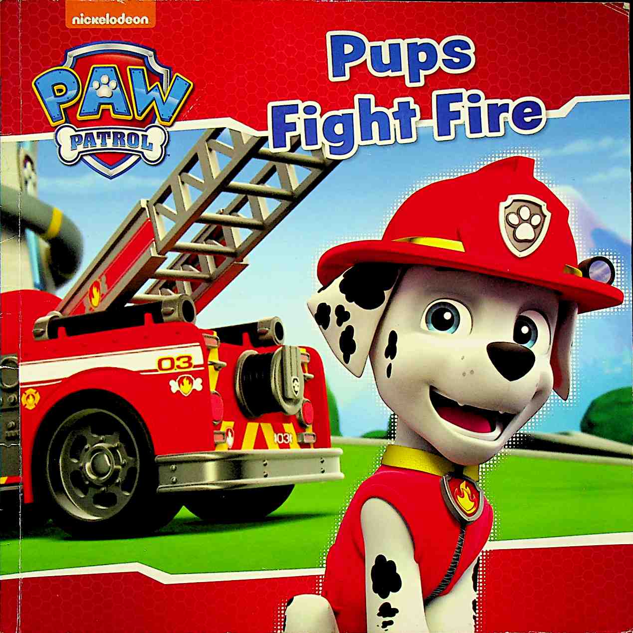 Nickelodeon PAW Patrol Pups Fight Fire